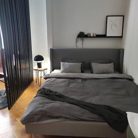 Utulny V Blizkosti Centra Apartment *